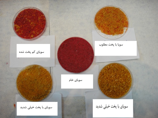 Iranian Soy Test Kit Detects Urease Activity in Extruded Soy Products Iranian Soy Test Kit Detects Urease Activity in Extruded Soy Products
